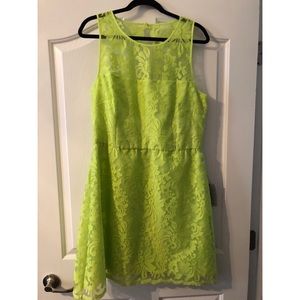 Laundry by Shelli Segal Lace Dress